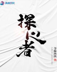 探界者者报价及图片