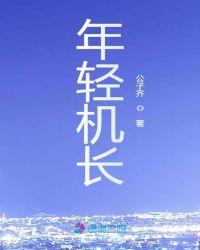 年轻机长飞机开偏了