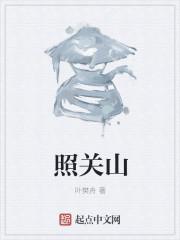 照关山TXT精校全本