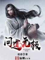 问道无极造化丹