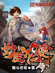 妙医鸿途txt精校版