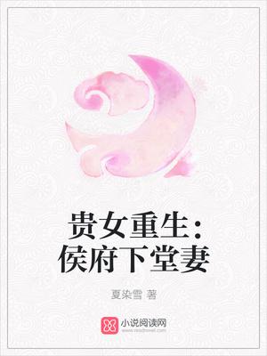 沈清辞陆北