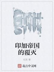 印加帝国的覆灭text