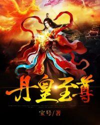 丹神主宰宝号免费