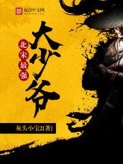 北宋最强大少爷奇书
