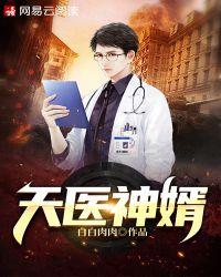天医神婿 心游八方