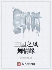 三国之风舞天下