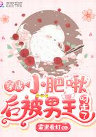 穿成肥啾后我攻略了大佬免费阅读