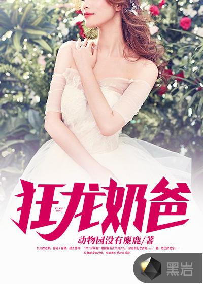 狂龙奶爸短剧免费高清观看