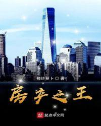 房产之战