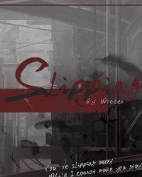 slipping翻译