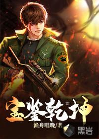宝鉴乾坤txt奇书网
