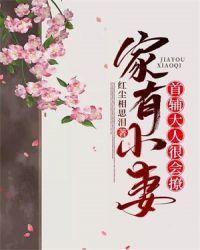 家有小妻首辅大人很会撩B