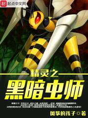 精灵之黑暗虫师笔趣阁