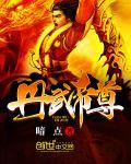 丹武帝尊免费完整版
