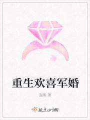 重生之军婚