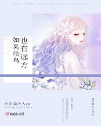 候鸟也有归期