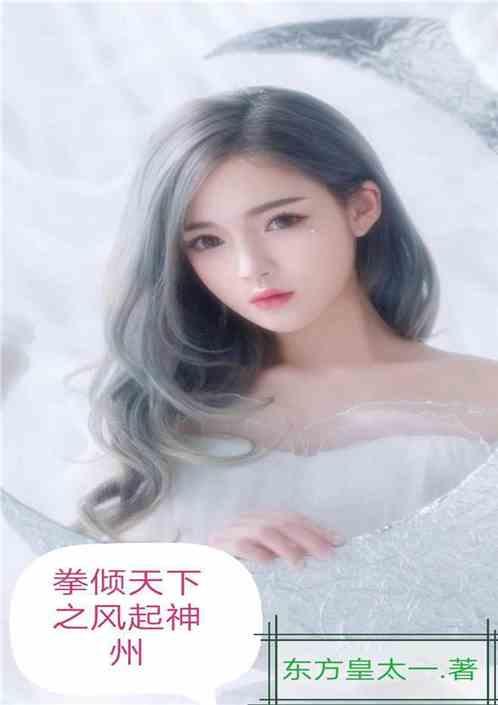 拳倾天下之风起神州爱看书吧