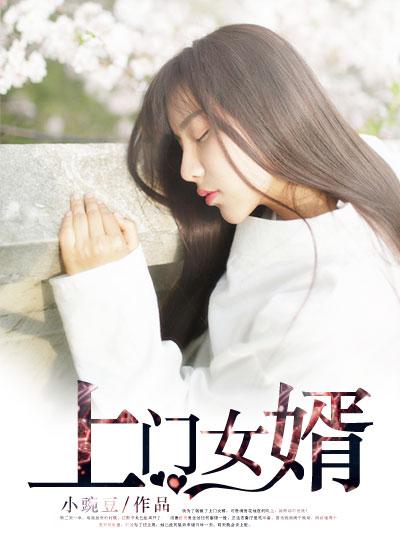 上门女婿(王浩李洁)