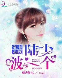 宠妻无度陆少啵一个免费阅读