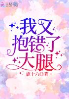 抱错大腿之后陆娆