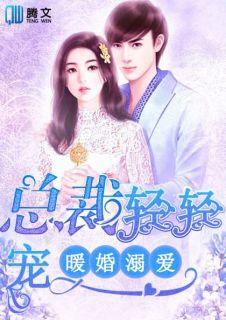 暖婚溺爱总裁轻轻宠辛晴赢肇苍未删减版