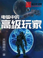 电弧中的高级玩家 全集txt免费