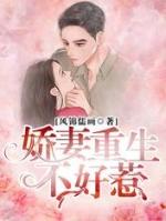 重生之少帅娇妻不好惹的电视剧