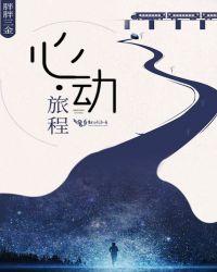 心动旅程意思