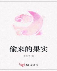 偷食的果实