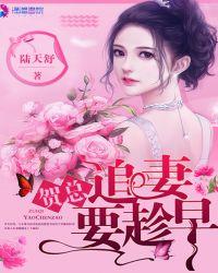 贺少追妻