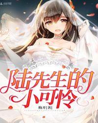 陆先生的小可怜改编
