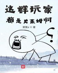 这群玩家都是史莱姆啊亚瑟