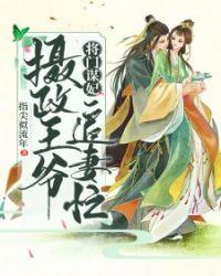 摄政王爷小闲妻
