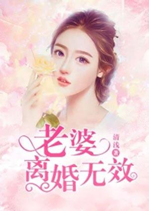 老婆离婚无效姜慎关颜菲