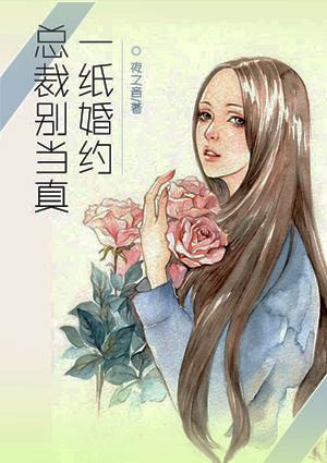 一纸婚书总裁别来无恙免费阅读txt