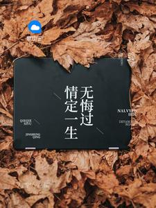 沈蔓歌叶南弦1071章