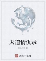 我是谜深宫情仇录复盘