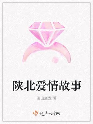 陕北爱情电视剧