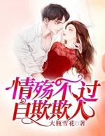 不如莫遇全文免费阅读