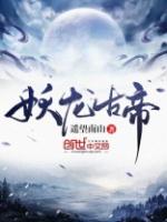 九龙神帝苏尘免费阅读全文