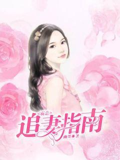 霸总追妻指南 萧娘子