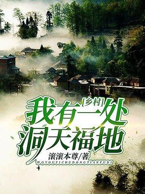 乡村我有一处洞天福地txt校正版
