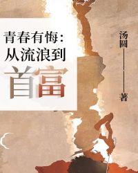 青春有悔歌曲