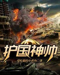 护国神帅最新章节免费阅读