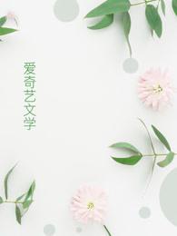 雷霆王是什么动画片