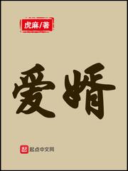 爱婿婿临门完整版