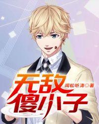 无敌傻小子TXT八零电子书