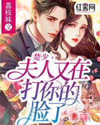 夫人说你是