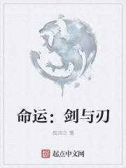 命运2剑